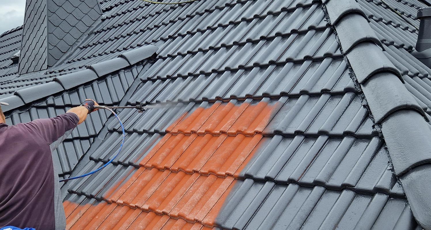 Dachreinigung Dachbeschichtung Limburg Hessen Rheinland-Pfalz